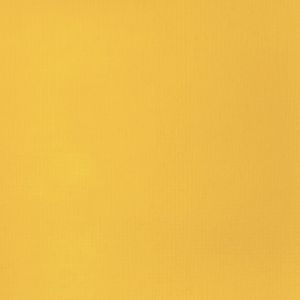 Hovedbilde CADMIUM YELLOW DEEP HUE 22ML LQX BASICS