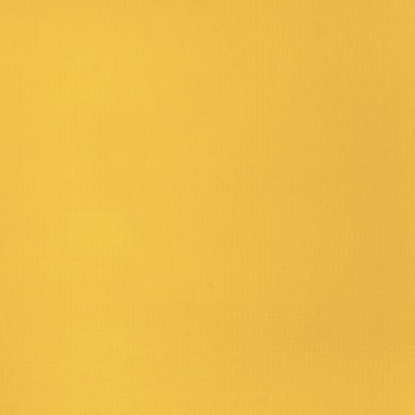 CADMIUM YELLOW DEEP HUE 22ML LQX BASICS