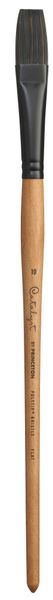 Princeton Catalyst Synthetic Long Handle Flat Size 10 PG3