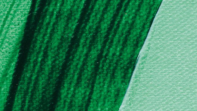 Hovedbilde Schmincke Akademie 250ml. phthalo green light