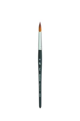 Princeton Aqua Elite Synthetic Short Handle Round Size 10 PG2