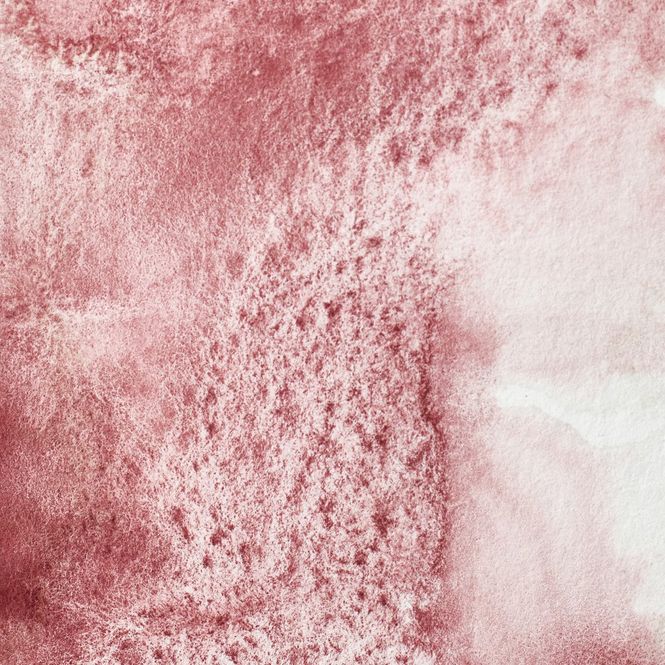 Hovedbilde POTTERS PINK HALV PAN W&N pwc