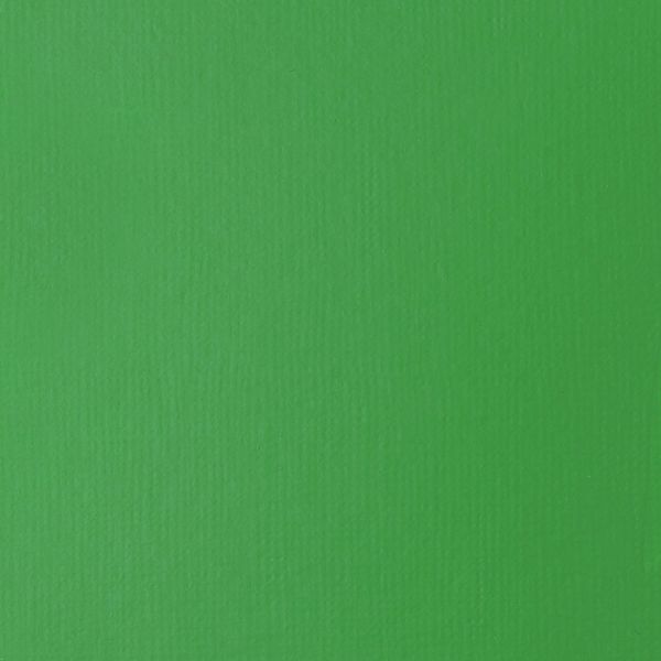 LIGHT GREEN PERMANENT 22ML LQX BASICS