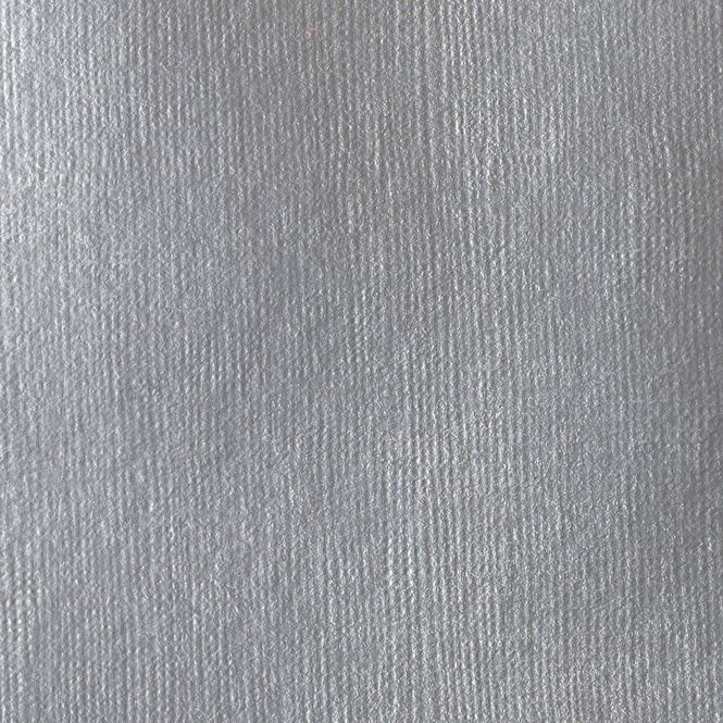 Hovedbilde IRIDESCENT RICH SILVER 59ML LQX PRO HEAVY BODY