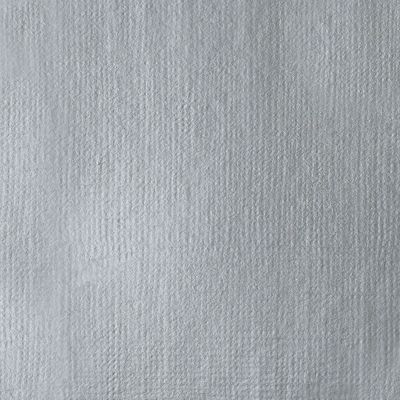 IRIDESCENT BRIGHT SILVER 59ML LQX PRO ACRYLIC GOUACHE
